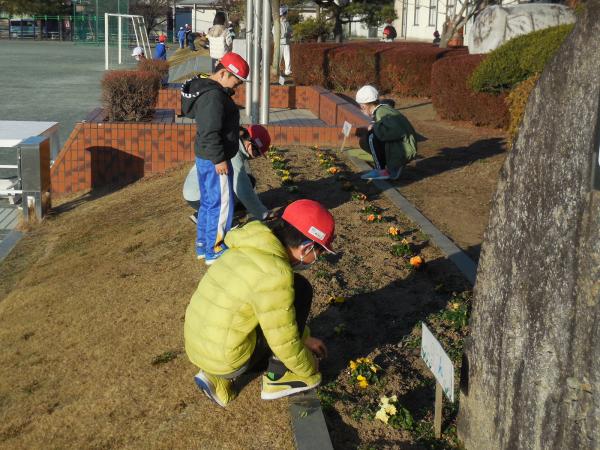 トピックス 桜川市立羽黒小学校ホームページ