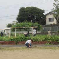 第２回PTA奉仕作業