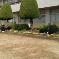 ５月９日（木）｢自主｣　｢勤勉｣　｢友愛｣