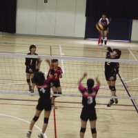 ６月8日（土）　茨城・栃木バレーボール大会