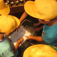 ３年生　カスミ見学