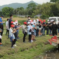 ５月１２日（木）「代かき」見学