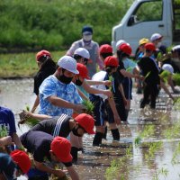 ５月１８日（水）田植え体験