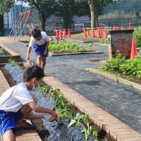 花壇の整備や水やり