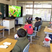 ２月27日(火)３・４年ヤマザクラについて