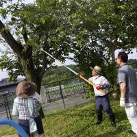 学校支援ボランティアによる樹木剪定