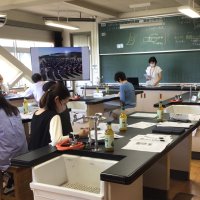 第1回学校保健安全委員会
