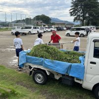 除草作業を行いました