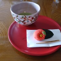 学校支援ボランティアによる茶道体験
