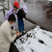 雪遊びをしました【１・２年生】