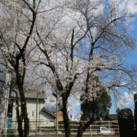 もうすぐ始業式！