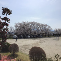 入学式