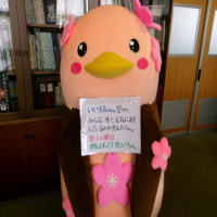 ４／３０（水）きょうのはぐろん