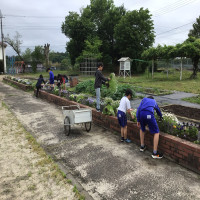 ５月12日（月）委員会活動