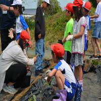5月21日（水）いもの苗植え集会