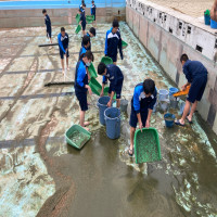 ５月２７日（火）　プール掃除