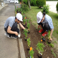 ６月４日（水）環境委員会　花壇の花植え
