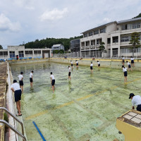プール清掃