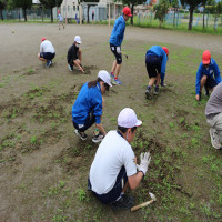 今週の草取りボランティア