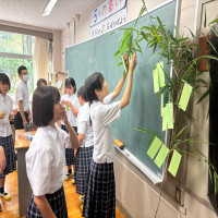 ７月8日（火）七夕の飾りつけを行いました