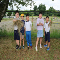 今週の草取りボランティア